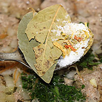 заправляем суп с фрикадельками солью и специями - фото